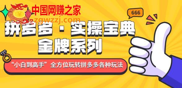 拼多多·实操宝典：金牌系列“小白到高手”带你全方位玩转拼多多各种玩法