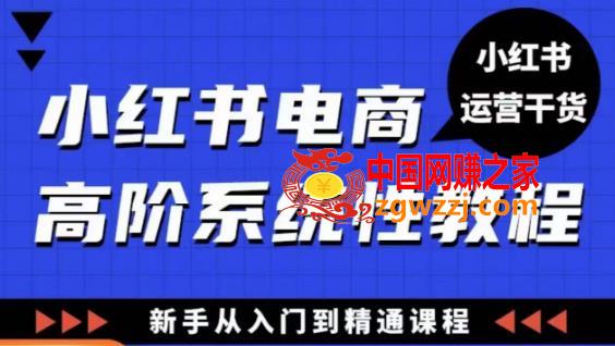 小红书电商高阶系统教程，新手从入门到精通系统课