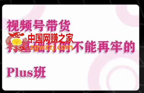 视频号带货Puls班，视频号底层逻辑，起号自然流鱼塘等玩法,大播汇·视频号带货Puls班，视频号底层逻辑，起号自然流鱼塘等玩法,底层,号,逻辑,第1张