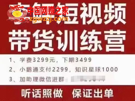 李鲆·短视频带货训练营（第10期），手把手教你短视频带货，听话照做，保证出单