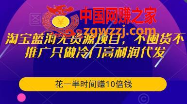 淘宝蓝海无货源项目，不囤货不推广只做冷门高利润代发，花一半时间赚10倍钱