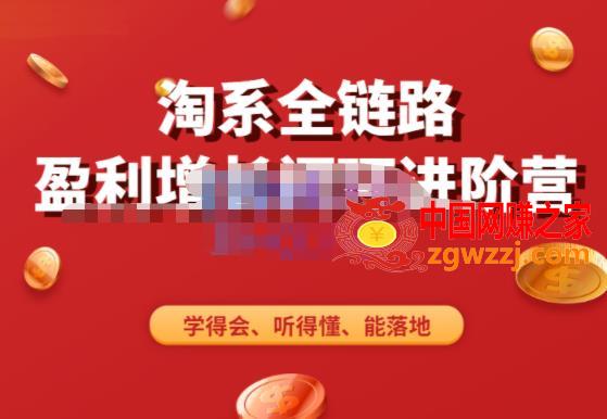 淘系全链路盈利增长闭环进阶营，融合全店动销，学得会、听得懂、能落地！