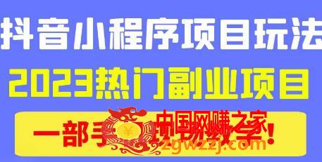 抖音小程序9.0新技巧，2023热门副业项目，动动手指轻松变现