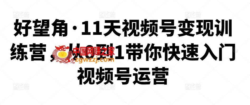 11天视频号变现训练营，从0到1带你快速入门视频号运营