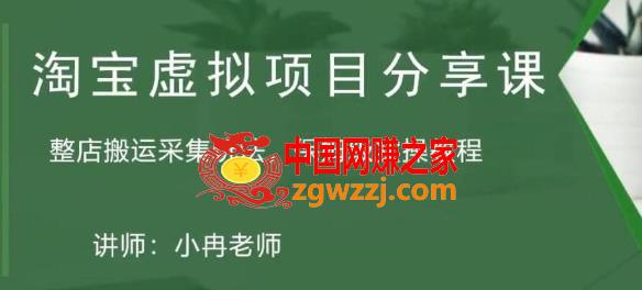 淘宝虚拟整店搬运采集玩法分享课：整店搬运采集玩法，保姆级实操教程