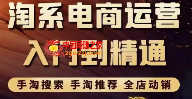淘系电商入门到精通手淘搜索，手淘推荐，全店动销（价值1099元）