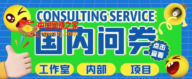 最新工作室内部国内问卷调查项目，单号轻松日入30+多号多撸【详细玩法教程】