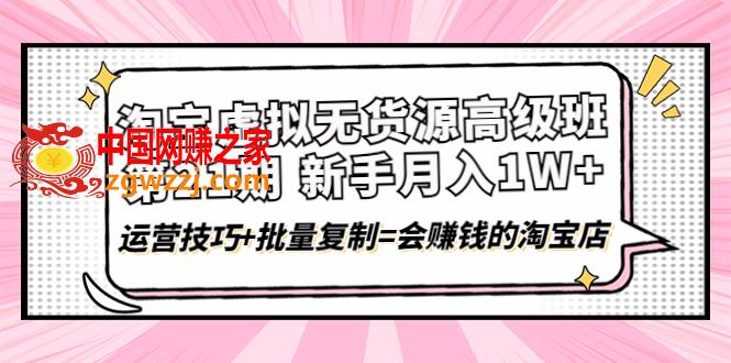 淘宝虚拟无货源高级班【第21期】月入1W+运营技巧+批量**=会赚钱的淘宝店
