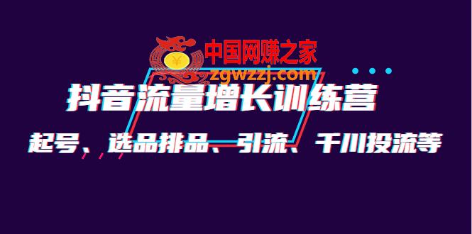 月销1.6亿实操团队·抖音流量增长训练营：起号、选品排品、引流 千川投流等
