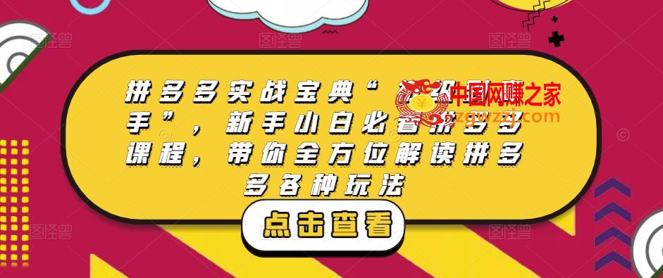 拼多多实战宝典“初级到高手”，新手小白必看拼多多课程，带你全方位解读拼多多各种玩法