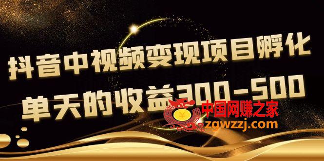黄岛主《抖音中视频变现项目孵化》单天的收益300-500 操作简单粗暴
