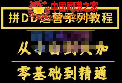 2022全套拼多多核心实操课程：从0-1轻松起链接实战，低投入高产出运作店铺,2022全套拼多多核心实操课程，从0-1轻松起链接实战，低投入高产出运作店铺,店铺,课程,玩法,第1张