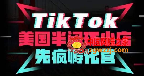 疯人院·TikTok美国半闭环小店孵化营，抢占TikTok美国蓝海市场，开店、运营、带货、投流全实操