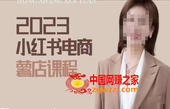 2023小红书电商课，新手小白从0~1玩转小红书薯店电商