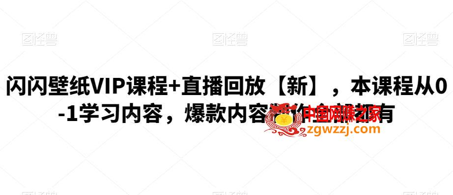 图片[1]-闪闪壁纸VIP课程+直播回放【新】，本课程从0-1学习内容，爆款内容制作全部都有-阿灿说钱