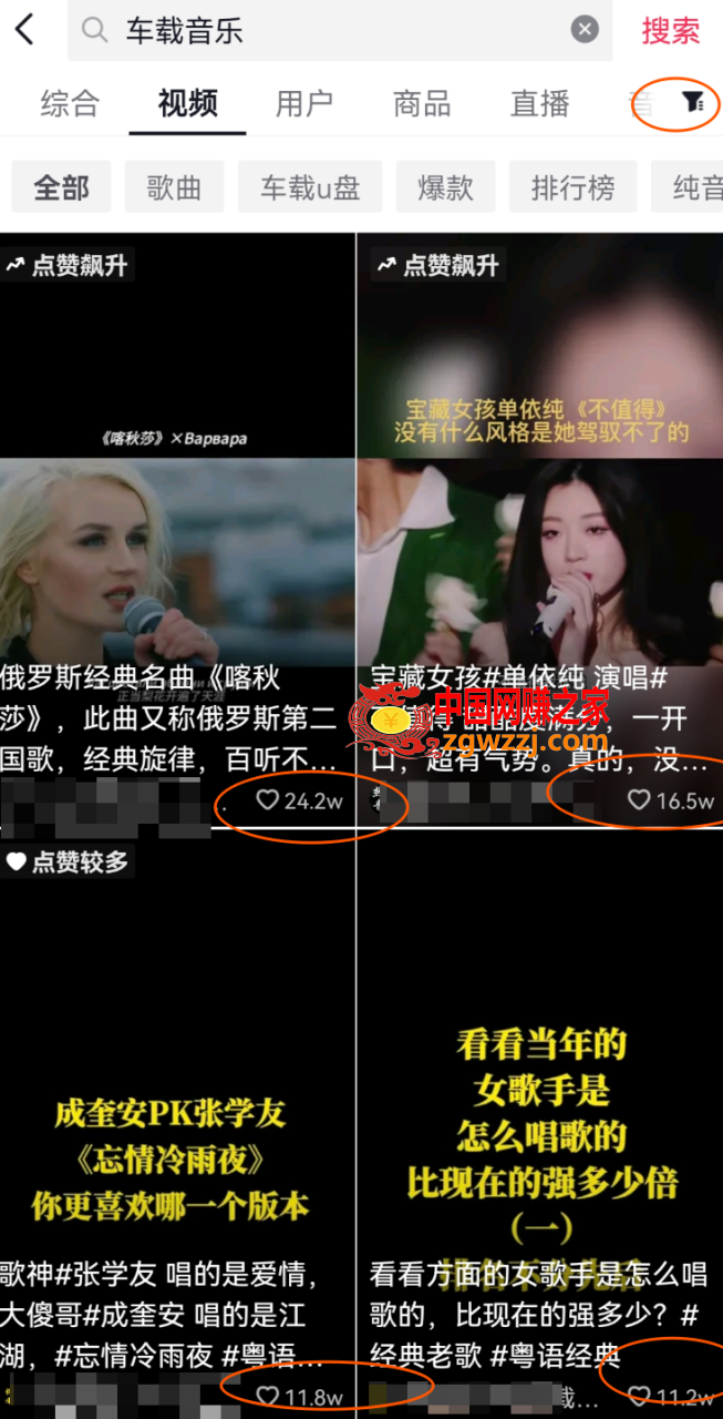 玩转短视频音乐号：成本低利润高新手月入10000+实战教程（视频教程）