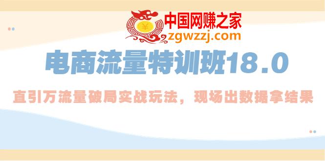 电商流量特训班18.0，直引万流量破局实操玩法，现场出数据拿结果