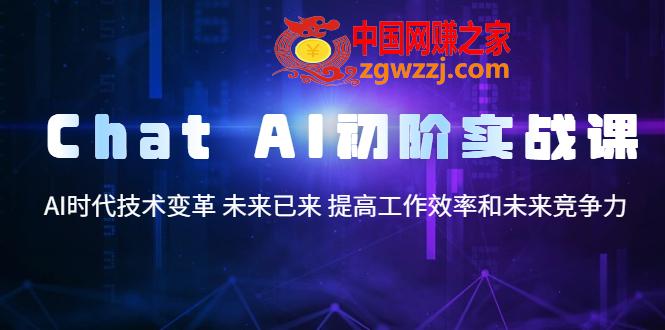 Chat AI初阶实战课，AI时代技术变革 未来已来 提高工作效率和未来竞争力