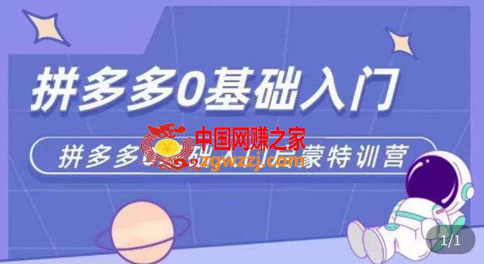 拼多多运营0-1实操特训营，拼多多0基础入门，从基础到进阶的可实操玩法
