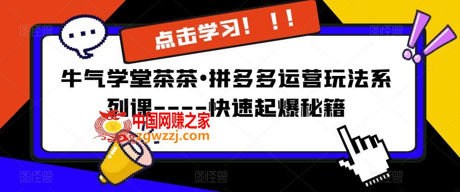 牛气学堂茶茶•拼多多运营玩法系列课----快速起爆秘籍【更新】