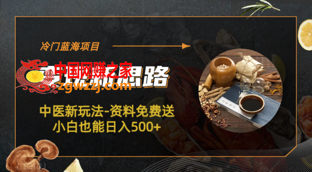 冷门蓝海项目-中医新玩法-资料免费送小白也能日入500+