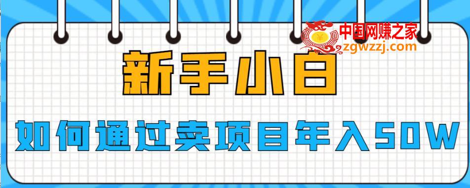 新手小白如何通过卖项目年入50W【揭秘】