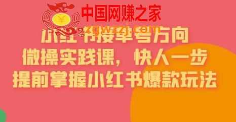 接单号方向·小红书微操实践课，快人一步，提前掌握小红书爆款玩法