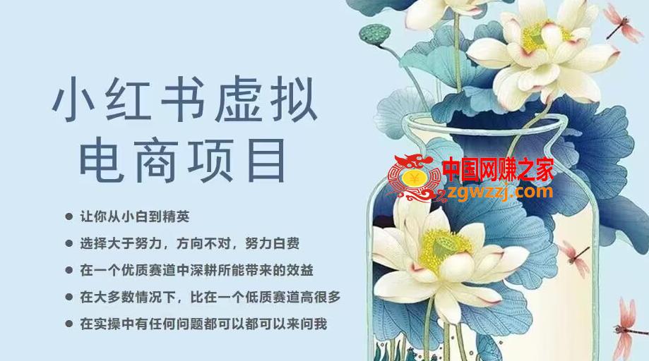 小红书虚拟电商从0到1，让你从小白到精英（20节实操课程）