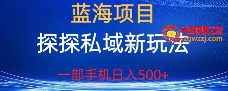 蓝海项目，探探私域新玩法，一部手机日入500+很轻松【揭秘】