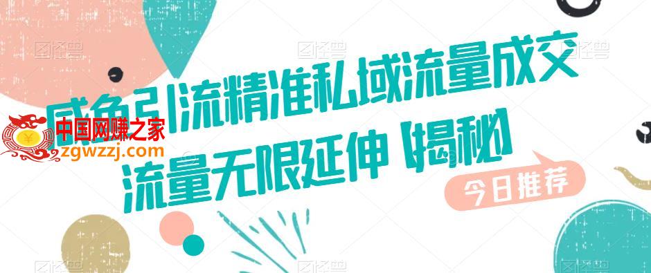 咸鱼引流精准私域流量成交流量无限延伸【揭秘】
