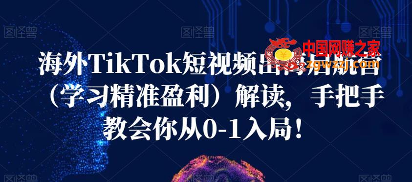 海外TikTok短视频出海启航营（学习精准盈利）解读，手把手教会你从0-1入局！