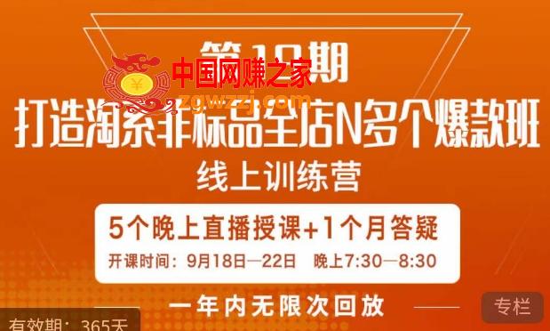 打造淘系非标全店N多个爆款线上课，5天直播课