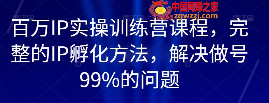 百万IP实操训练营课程，完整的IP孵化方法，解决做号99%的问题