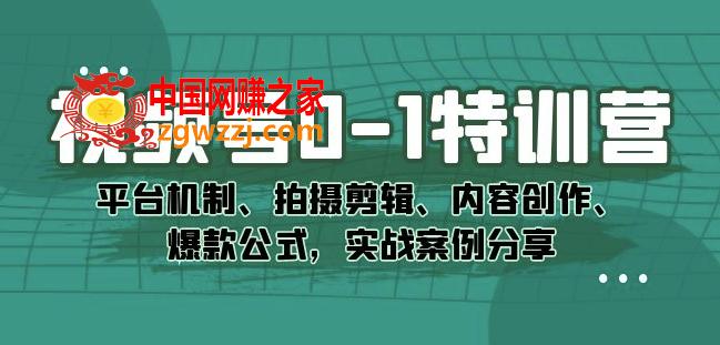 视频号0-1特训营：平台机制、拍摄剪辑、内容创作、爆款公式，实战案例分享