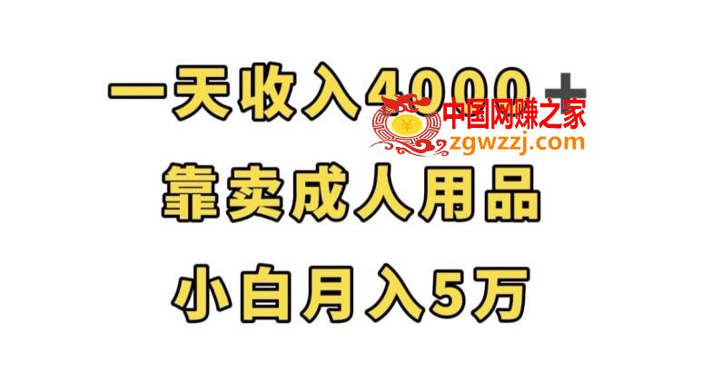 一天收入4000+，靠卖成人用品，小白轻松月入5万【揭秘】