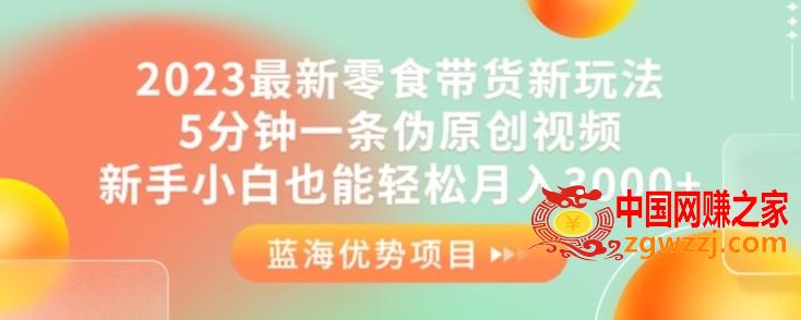 2023最新零食带货新玩法，5分钟一条伪原创视频，新手小白也能轻松月入3000+【揭秘】,2023最新零食带货新玩法，5分钟一条伪原创视频，新手小白也能轻松月入3000+【揭秘】,视频,不用,带货,第1张