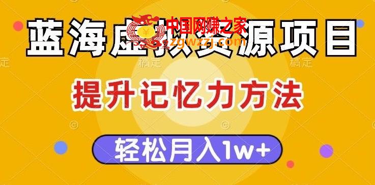 蓝海虚拟资源项目，提升记忆力方法，多种变现方式，轻松月入1w+【揭秘】