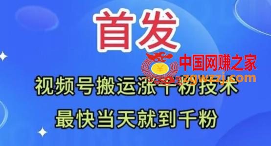全网首发：视频号无脑搬运涨千粉技术，最快当天到千粉【揭秘】