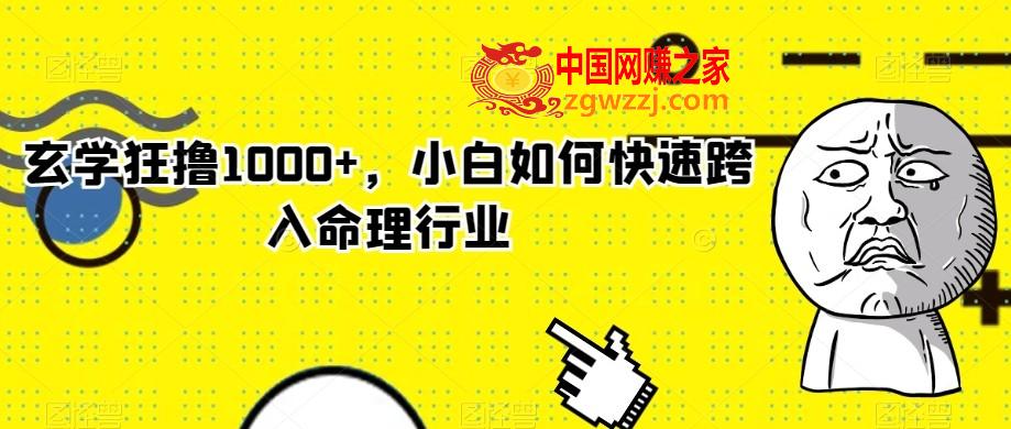 玄学狂撸1000+，小白如何快速跨入命理行业【揭秘】