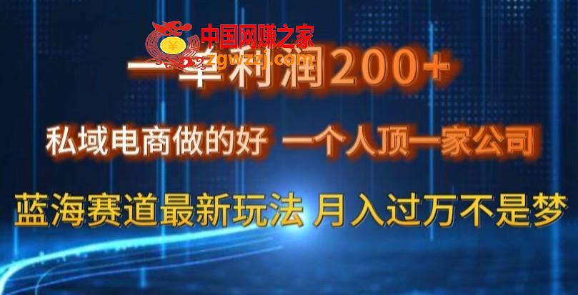 一单利润200私域电商做的好，一个人顶一家公司蓝海赛道最新玩法【揭秘】,一单利润200私域电商做的好，一个人顶一家公司蓝海赛道最新玩法【揭秘】,赛道,课程,产品,第1张