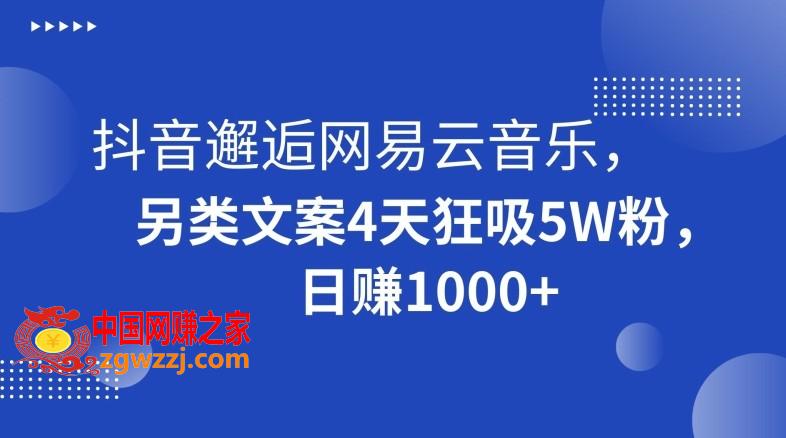 抖音邂逅网易云音乐，另类文案4天狂吸5W粉，日赚1000+【揭秘】,抖音邂逅网易云音乐，另类文案4天狂吸5W粉，日赚1000+【揭秘】,抖音,学习,方式,第1张