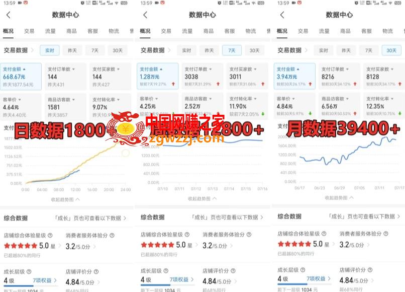 拼多多虚拟电商训练营月入30000+你也行，暴利稳定长久，副业首选,拼多多虚拟电商训练营月入30000+你也行，暴利稳定长久，副业首选,项目,教程,虚拟,第2张