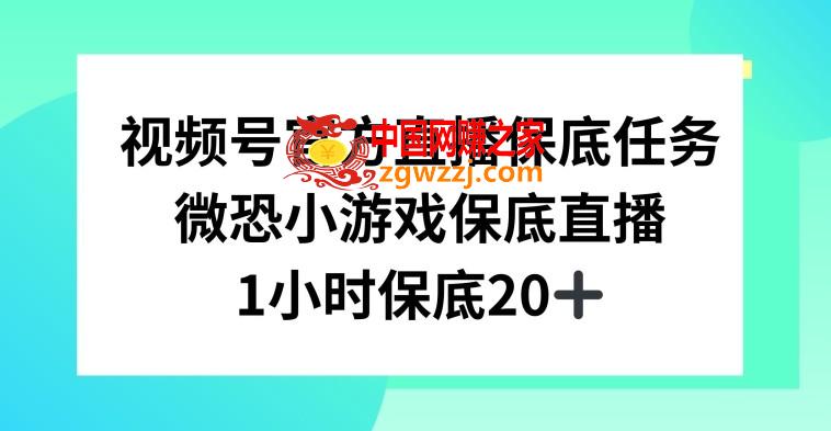 视频号直播任务，微恐小游戏，1小时20+【揭秘】