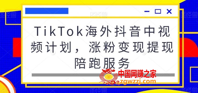 TikTok海外抖音中视频计划，涨粉变现提现陪跑服务