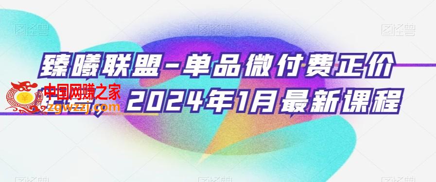 臻曦联盟-单品微付费正价起号，2024年1月最新课程