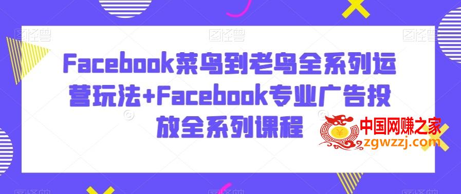 Facebook菜鸟到老鸟全系列运营玩法+Facebook专业广告投放全系列课程