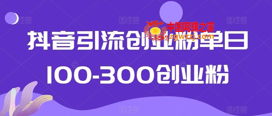 抖音引流创业粉单日100-300创业粉【揭秘】,抖音引流创业粉单日100-300创业粉【揭秘】,创业,下载,项目,第1张