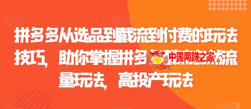 拼多多从选品到截流到付费的玩法技巧，助你掌握拼多多截流自然流量玩法，高投产玩法,拼多多从选品到截流到付费的玩法技巧，助你掌握拼多多截流自然流量玩法，高投产玩法,玩法,付费,多多,第1张