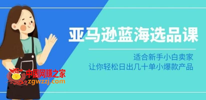 亚马逊-蓝海选品课：适合新手小白卖家，让你轻松日出几十单小爆款产品,亚马逊-蓝海选品课：适合新手小白卖家，让你轻松日出几十单小爆款产品,核心,第1张