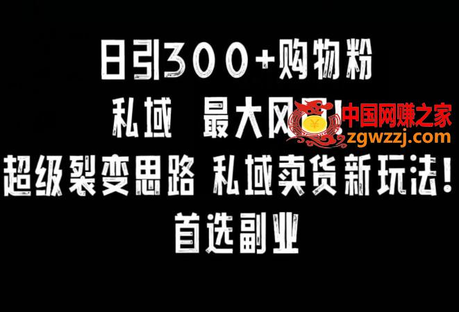 日引300+购物粉，超级裂变思路，私域卖货新玩法，小红书首选副业【揭秘】,日引300+购物粉，超级裂变思路，私域卖货新玩法，小红书首选副业【揭秘】,实操,项目,方式,第1张